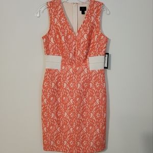 NWT!  WORTHINGTON STRETCH CORAL LACE SHEATH DRESS SLEEVELESS W/ V- NECK SZ 8